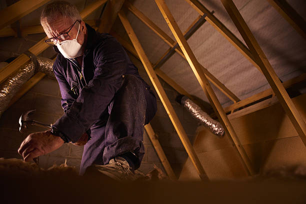 Best Insulation Removal  in Northport, NY
